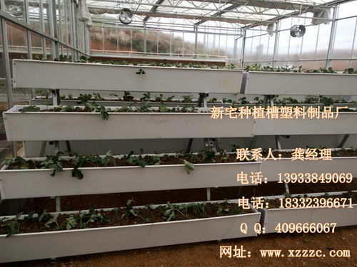 河北新宅雞槽塑料制品廠軟件開發 打造智能化生產與海量圖片管理系統